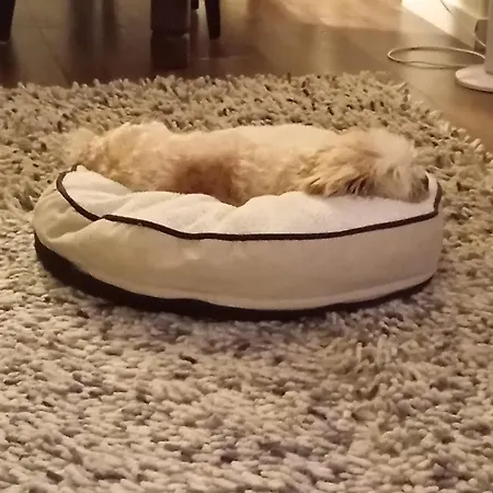 Topsleep 26-1 Apartamento