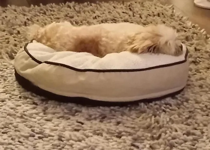 Topsleep 26-1 דירה